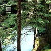 Here's a video showing the creek. Aqui está um vídeo mostrando o riacho.